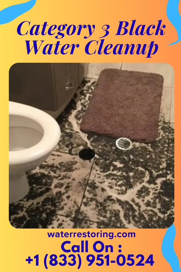 Category 3 Black Water Cleanup in Beach City, TX