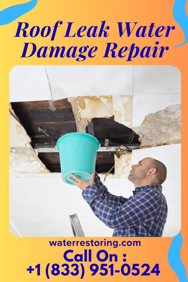 Roof Leak Water Damage Repair in Beach City, TX